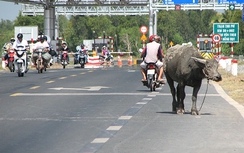 Nhiều bất an từ chân cầu Mỹ Lợi