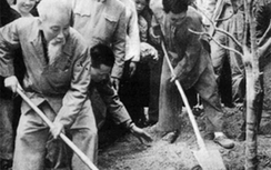 Bác Hồ răn dạy cán bộ từ việc trồng cây