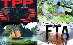 Sau TPP, bao nhiêu doanh nghiệp Việt Nam có thể hội nhập