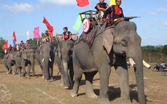 “Thần chết” rước Buôn Đôn đi rồi!