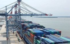 Cảng quốc tế Cái Mép dồn dập những chuyến hàng đầu năm