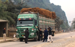 Lý do Giám đốc Sở GTVT Thanh Hóa “trảm" Chánh Thanh tra?