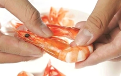 Trẻ đang ho, có cần kiêng ăn tôm?