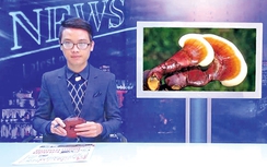 PV trẻ tự ứng cử ĐBQH: Không tự ti trước "cây đa, cây đề"