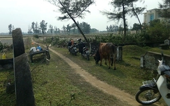 Đường “trên giấy” ba năm, dân phải đi đường ruộng