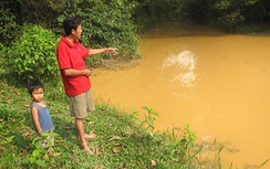 Hà Tĩnh: Dự án nuôi bò làm khổ một vạn dân