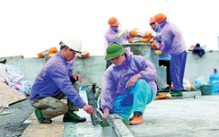 Vì sao CIENCO1 nợ hàng chục tỷ đồng bảo hiểm xã hội?