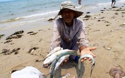 500 triệu USD mà Formosa đền mù chỉ mang tính ước lệ