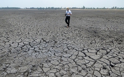 Thiếu minh bạch chi 108 tỷ đồng hỗ trợ hạn hán ở Tây Nguyên