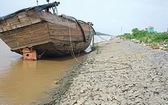 Báo động sạt lở kênh Chợ Gạo