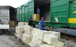 Khó phát hiện hàng lậu vận chuyển bằng đường sắt