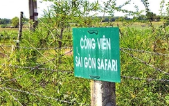 TP.HCM: Giao Vingroup nghiên cứu hồi sinh dự án Safari Củ Chi