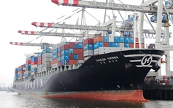 Hanjin phá sản: Doanh nghiệp Việt nguy cơ mất hàng trăm tỷ