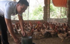 Nông dân phải vay chui lãi “cắt cổ”, ngân hàng ở đâu?