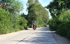 Bình Định: Nông dân “3 tốt ATGT”, tai nạn giảm