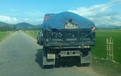 Xe quá tải tung hoành đường quê