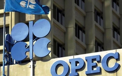 OPEC không tìm được giải pháp chung trong hỗ trợ giá dầu