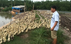 90% dự án khởi nghiệp thất bại từ ý tưởng