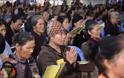 Chấp hành pháp luật, thoát được tai ương