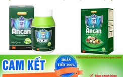 Nano tinh bột nghệ quảng cáo như thần dược, giá trên trời