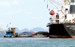 Loại rào cản, tạo đột phá vận tải ven biển