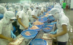 Mỹ là thị trường xuất khẩu lớn nhất của Việt Nam