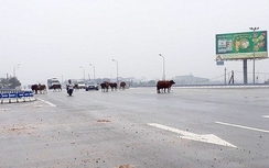 Vì sao tai nạn tăng tại ngã tư đường tránh TP Hà Tĩnh?