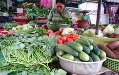 Đà Nẵng: Rau xanh đội giá sau mưa lũ