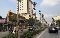 Hà Nội trồng hơn 430 nghìn cây các loại trong năm 2017