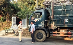 Sơn La khắc chế xe chở mía vi phạm thế nào?