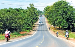 Một nửa sự thật... BOT