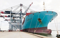 Vinalines đã thoát lỗ ra sao?