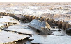 Sạt lở kè đê biển Bạc Liêu uy hiếp cuộc sống hơn 8.000 hộdân