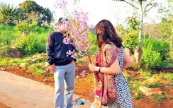 Không có biển thì cứ “…” thôi