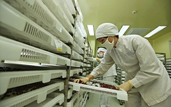 Nhiều ngành khó khăn, doanh nghiệp dược vẫn báo lãi kỷ lục