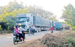 Cách xử lý “lạ đời” của CSGT với đoàn xe chở gỗ