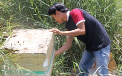 Báo động dịch sốt xuất huyết ở TP.HCM