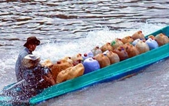 Quý I/2017, thu giữ 4 triệu tấn xăng, dầu lậu