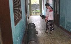 Quốc bảo để hành lang, nghìn cổ vật bị xếp xó