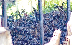 Khẩn trương điều tra vụ cháy tại kho tạm giữ xe vi phạm