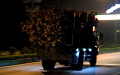 Nhộn nhịp xe quá khổ trên QL8A, 8B ở Hà Tĩnh