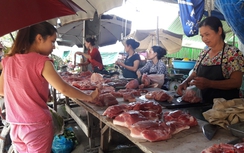 Người nuôi lợn kêu cứu