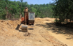 “Đất tặc” lộng hành về đêm tại Bình Định