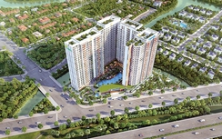 Hấp dẫn dự án vàng khu Đông Sài Gòn