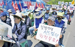 Làn sóng phản đối THAAD của Mỹ lan rộng tại Hàn Quốc