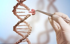 Bước tiến mới trong nghiên cứu diệt virus HIV