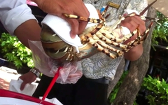 "Lên rừng xuống biển" du lịch hè, coi chừng dị ứng thực phẩm