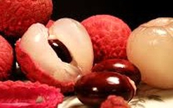 Quả vải trị chứng đái dầm ở trẻ nhỏ