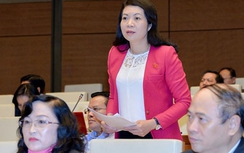 Tranh luận “nảy lửa” xử lý hình sự trẻ em, kinh doanh đa cấp