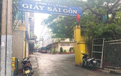 TP.HCM: Ai “bảo kê” để doanh nghiệp cho thuê đất vàng trục lợi?